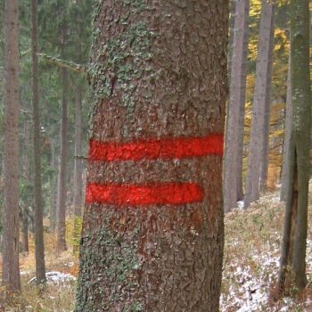 Pruhové značenie hranice chráneného územia. Foto: archív Správy NP Muránska planina